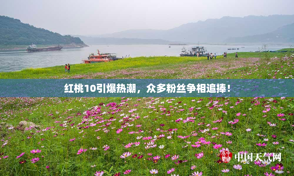 红桃10引爆热潮，众多粉丝争相追捧！