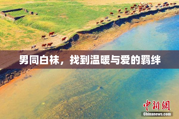 男同白袜，找到温暖与爱的羁绊