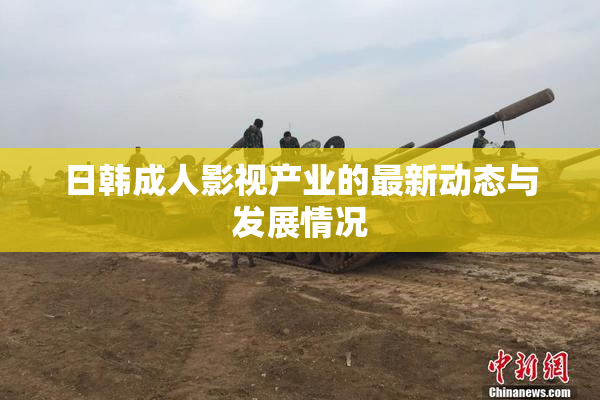 日韩成人影视产业的最新动态与发展情况