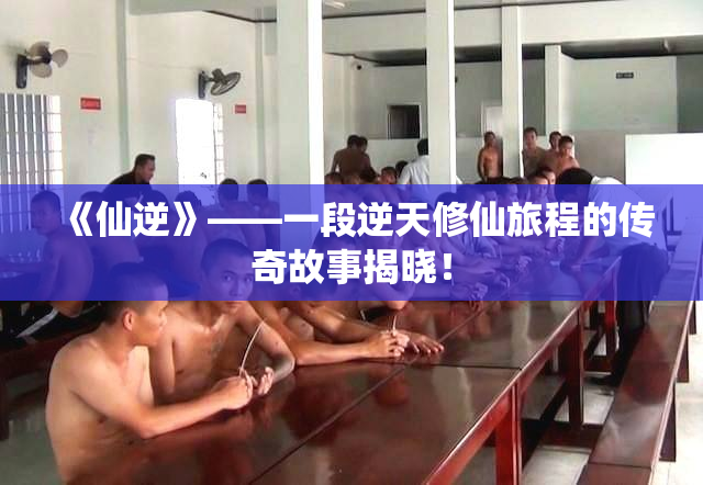 《仙逆》——一段逆天修仙旅程的传奇故事揭晓！
