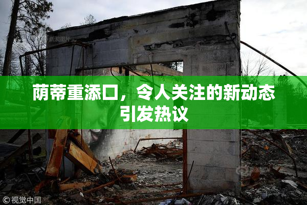 荫蒂重添囗，令人关注的新动态引发热议
