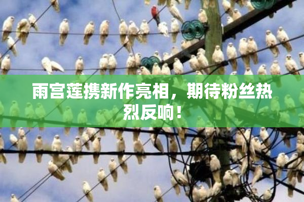 雨宫莲携新作亮相，期待粉丝热烈反响！