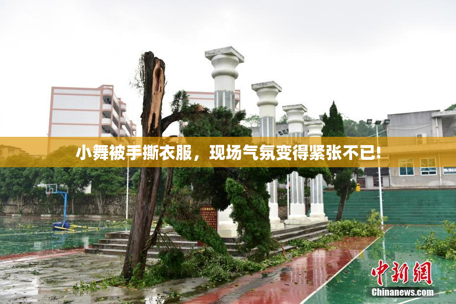 小舞被手撕衣服，现场气氛变得紧张不已!