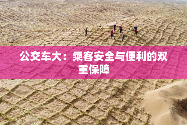 公交车大：乘客安全与便利的双重保障