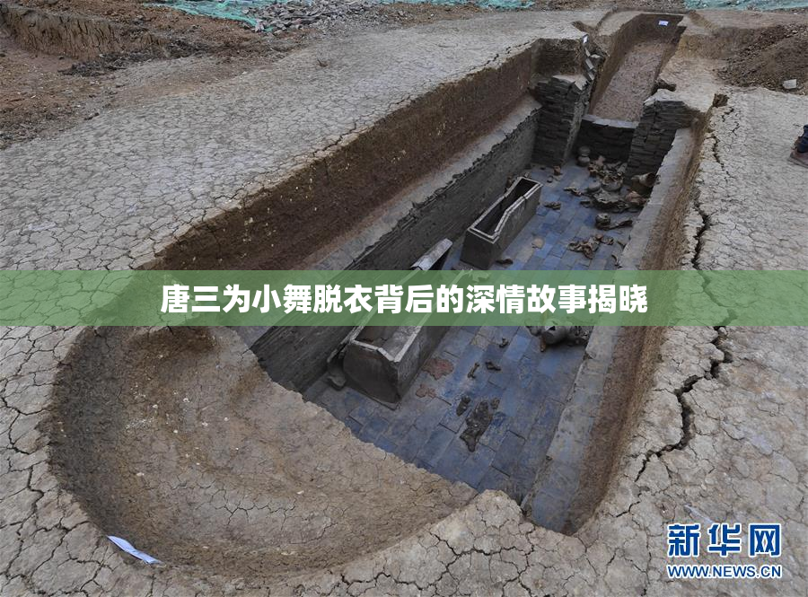 唐三为小舞脱衣背后的深情故事揭晓