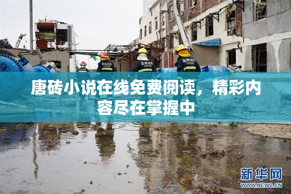 唐砖小说在线免费阅读，精彩内容尽在掌握中