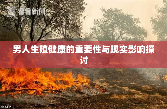 男人生殖健康的重要性与现实影响探讨