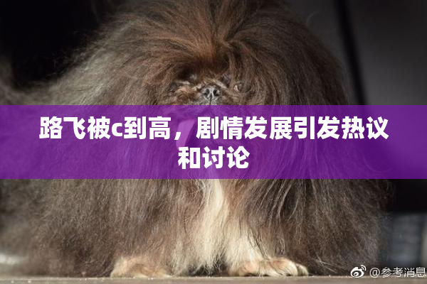 路飞被c到高，剧情发展引发热议和讨论