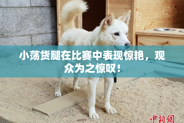小荡货腿在比赛中表现惊艳，观众为之惊叹！