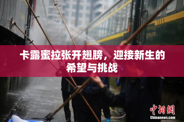 卡露蜜拉张开翅膀，迎接新生的希望与挑战