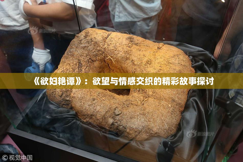 《欲妇艳谭》：欲望与情感交织的精彩故事探讨