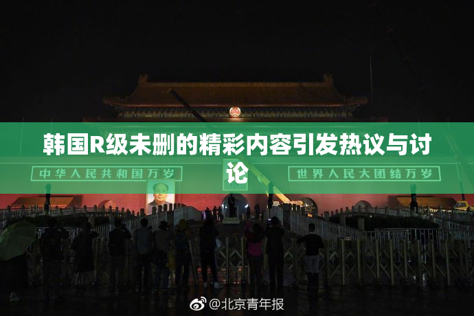韩国R级未删的精彩内容引发热议与讨论