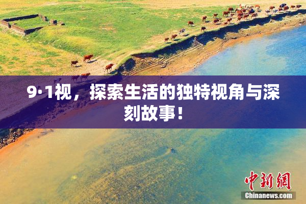 9·1视，探索生活的独特视角与深刻故事！