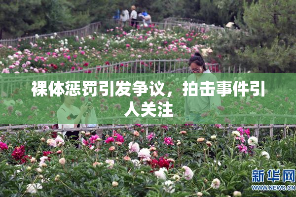 裸体惩罚引发争议，拍击事件引人关注