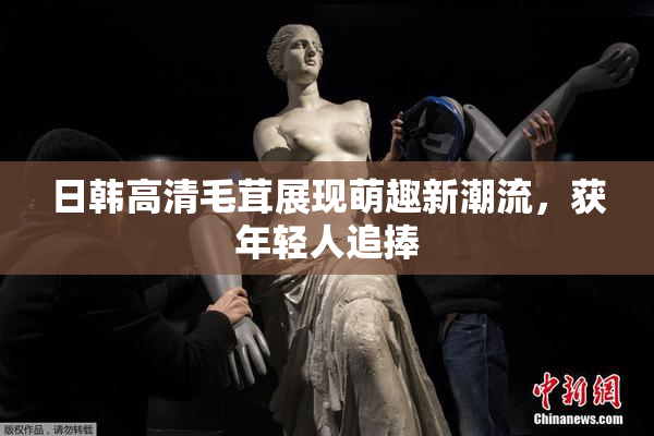 日韩高清毛茸展现萌趣新潮流，获年轻人追捧