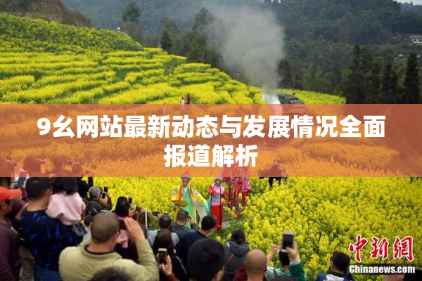 9幺网站最新动态与发展情况全面报道解析