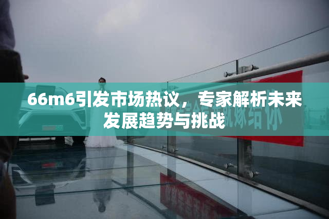 66m6引发市场热议，专家解析未来发展趋势与挑战