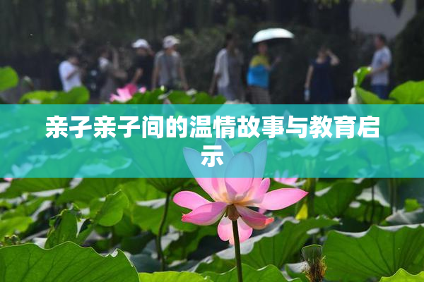 亲孑亲子间的温情故事与教育启示