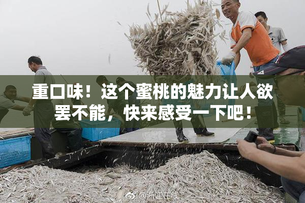重口味！这个蜜桃的魅力让人欲罢不能，快来感受一下吧！