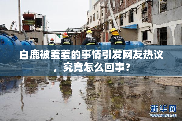 白鹿被羞羞的事情引发网友热议，究竟怎么回事？
