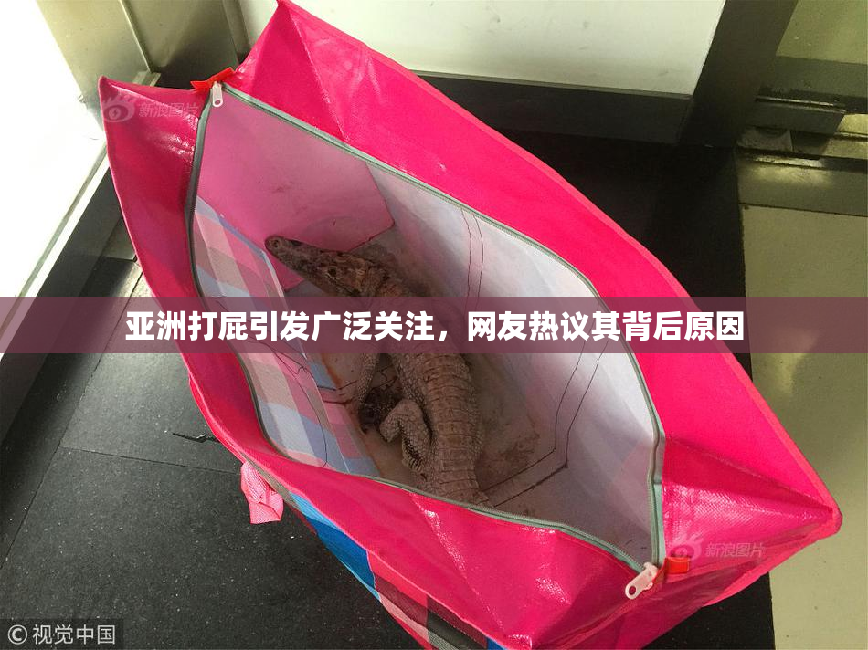 亚洲打屁引发广泛关注，网友热议其背后原因