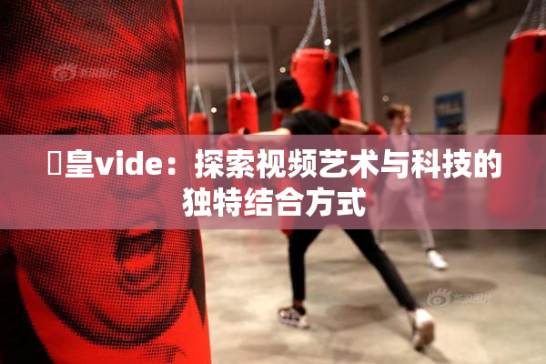 嘼皇vide：探索视频艺术与科技的独特结合方式