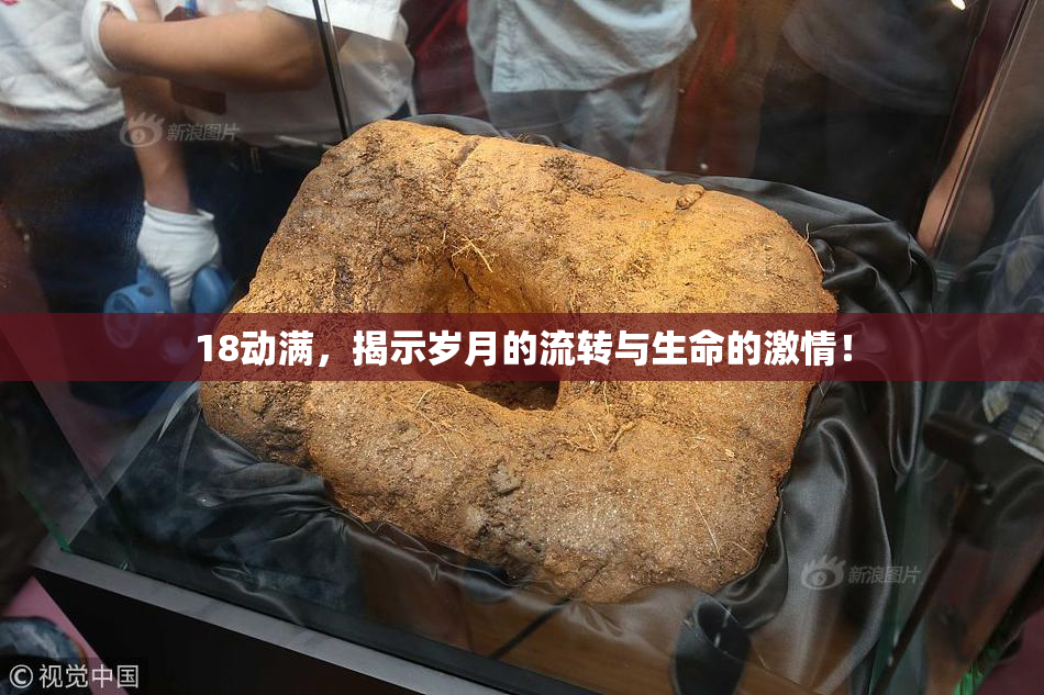 18动满，揭示岁月的流转与生命的激情！