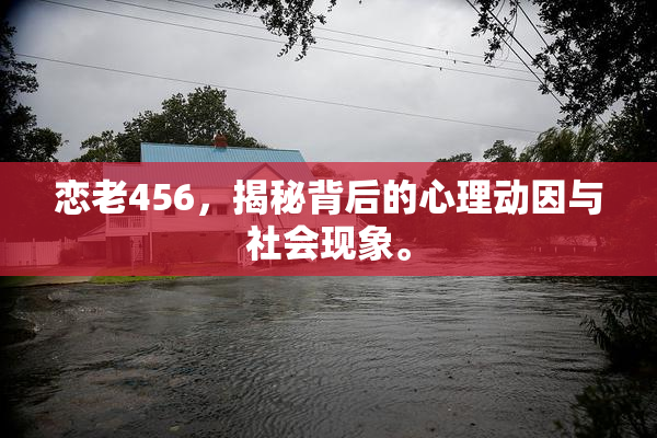 恋老456，揭秘背后的心理动因与社会现象。
