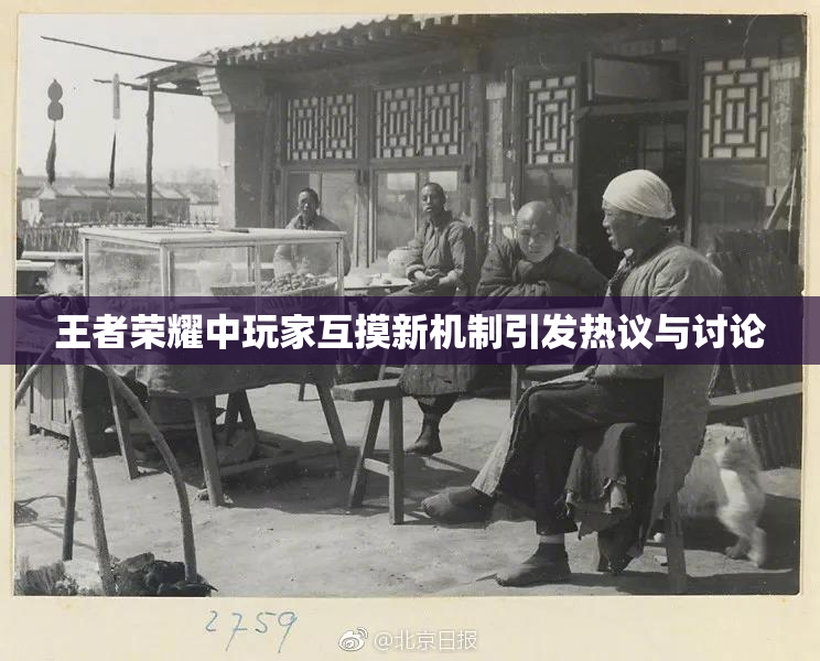 王者荣耀中玩家互摸新机制引发热议与讨论