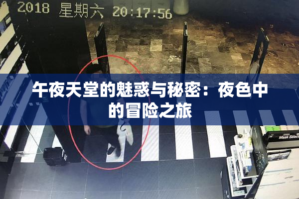 午夜天堂的魅惑与秘密：夜色中的冒险之旅