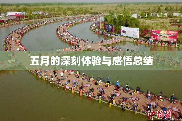 五月的深刻体验与感悟总结