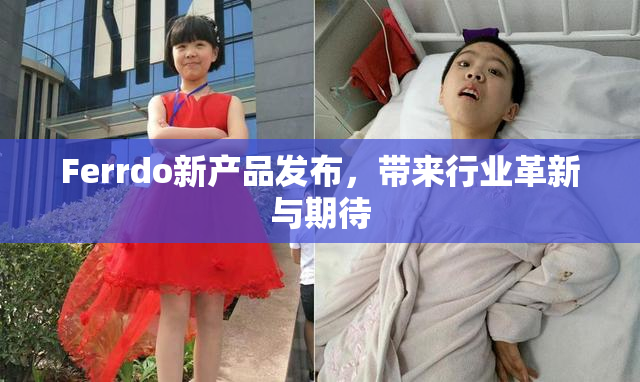Ferrdo新产品发布，带来行业革新与期待