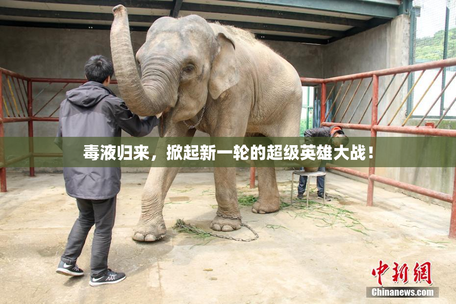 毒液归来，掀起新一轮的超级英雄大战！