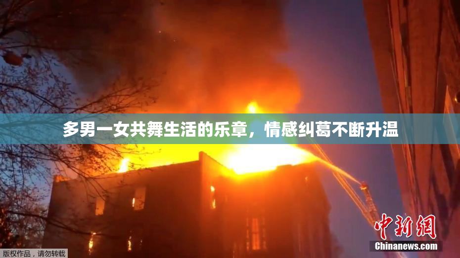 多男一女共舞生活的乐章，情感纠葛不断升温