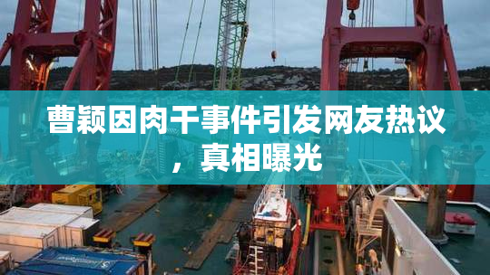 曹颖因肉干事件引发网友热议，真相曝光