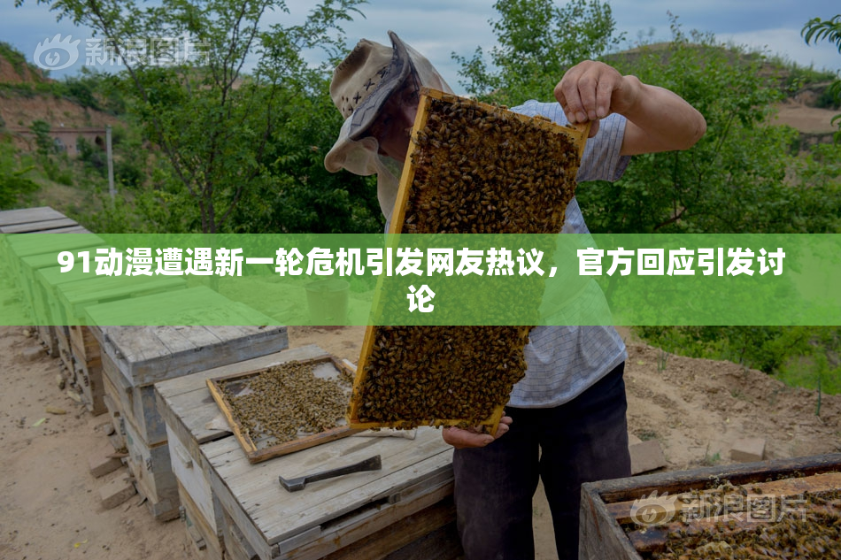 91动漫遭遇新一轮危机引发网友热议，官方回应引发讨论
