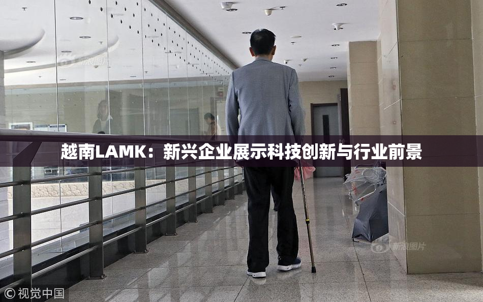 越南LAMK：新兴企业展示科技创新与行业前景