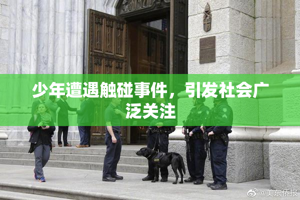 少年遭遇触碰事件，引发社会广泛关注