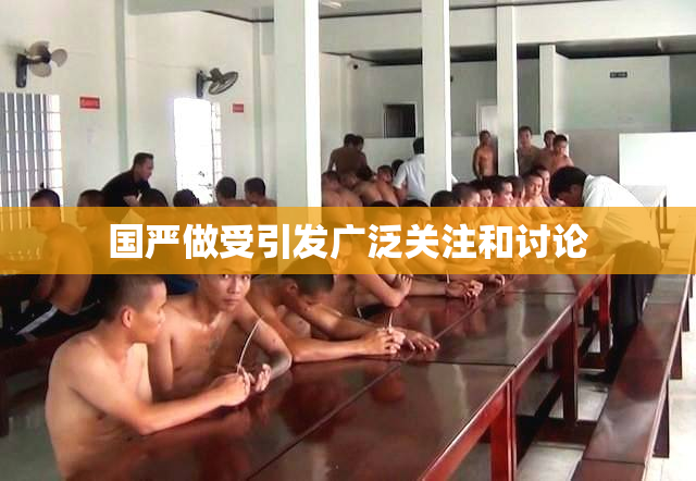 国严做受引发广泛关注和讨论