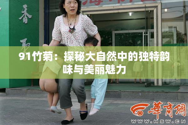 91竹菊：探秘大自然中的独特韵味与美丽魅力