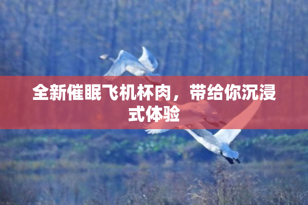 全新催眠飞机杯肉，带给你沉浸式体验