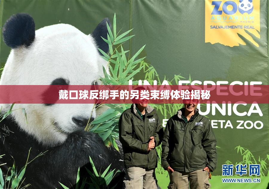 戴口球反绑手的另类束缚体验揭秘
