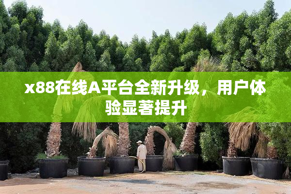 x88在线A平台全新升级，用户体验显著提升