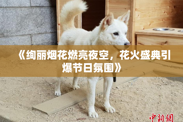 《绚丽烟花燃亮夜空，花火盛典引爆节日氛围》