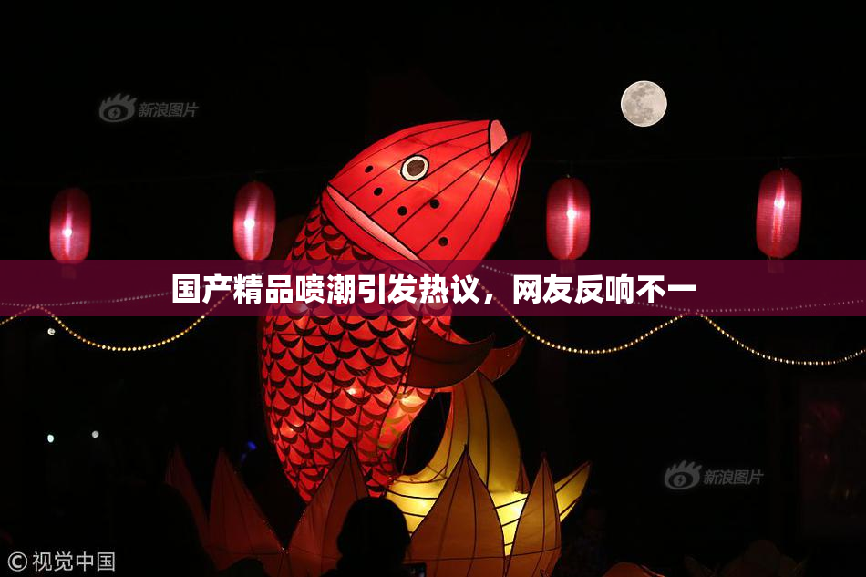 国产精品喷潮引发热议，网友反响不一