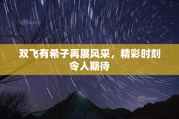 双飞有希子再展风采，精彩时刻令人期待