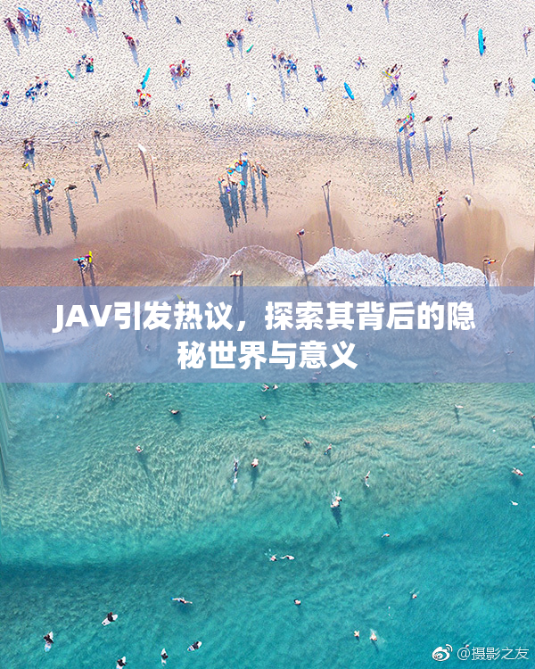 JAV引发热议，探索其背后的隐秘世界与意义