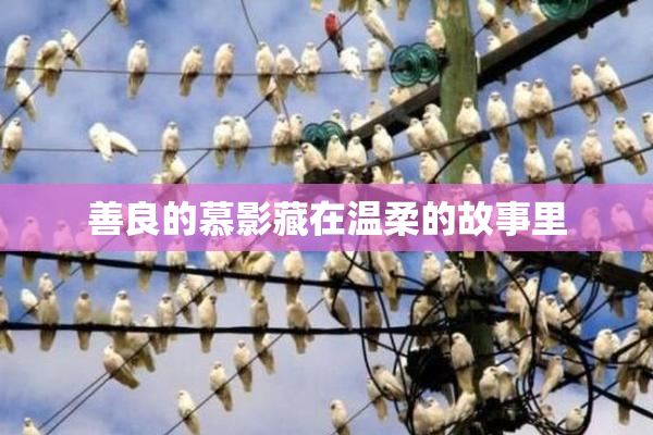 善良的慕影藏在温柔的故事里