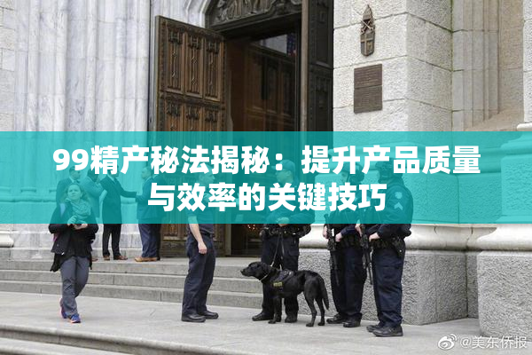99精产秘法揭秘：提升产品质量与效率的关键技巧
