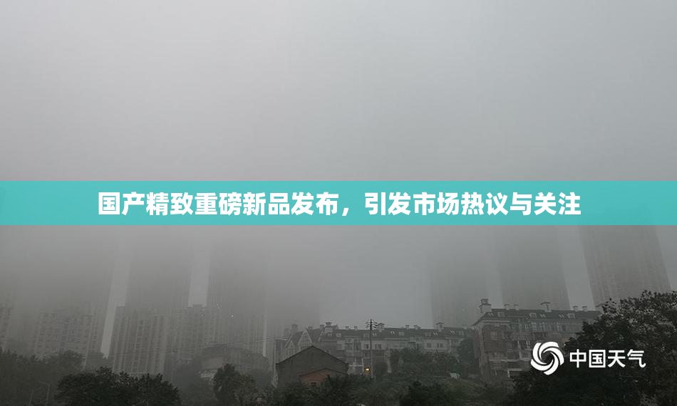 国产精致重磅新品发布，引发市场热议与关注